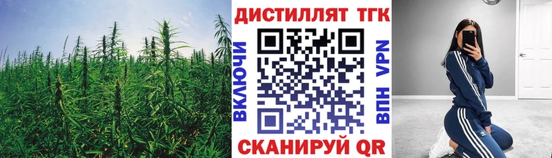 Дистиллят ТГК гашишное масло  Купить где  Белоярский 